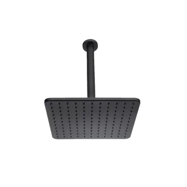 Square Shower Head Bossini H30597G00073009 Cosmo